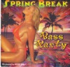 Spring Break - Bass Party artwork