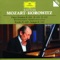 Piano Sonata No. 3 in B Flat, K. 281: I. Allegro - Vladimir Horowitz lyrics