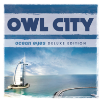 Owl City - Fireflies artwork
