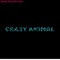 Crazy Animal (RudeBoyz Remix) - Loreno Mayer lyrics