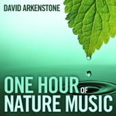 One Hour of Nature Music: For Massage, Yoga and Relaxation artwork
