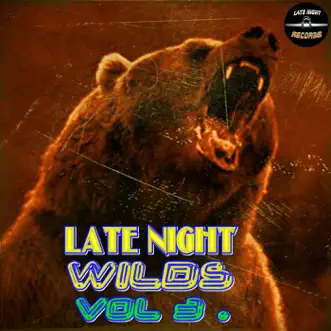 Late Night Wilds Vol 3. by Various Artists album reviews, ratings, credits