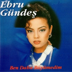 Ebru Gündeş - Sen Olsaydın