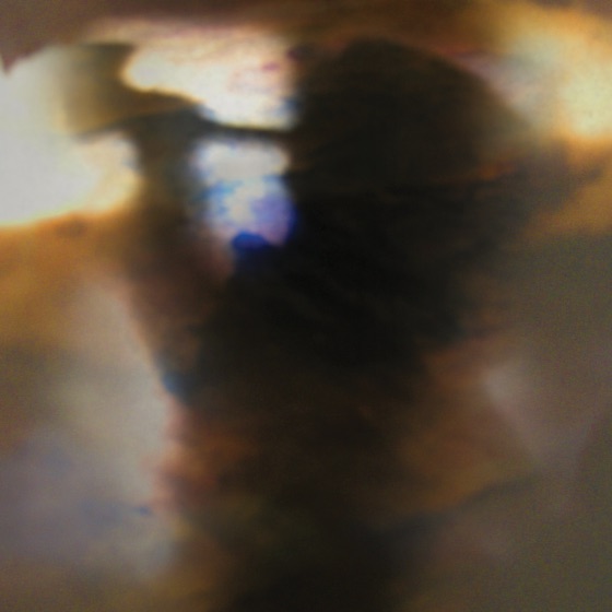 Cover artwork for Graze