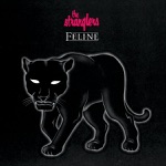 The Stranglers - The European Female (In Celebration Of)