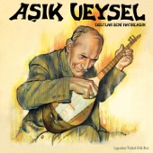 Bir Ulu Ağaçtan artwork