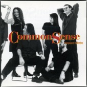 Common Sense Ensemble - accomodating commonplaces