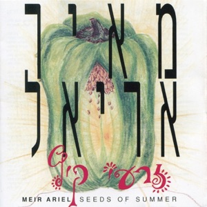 זרעי קיץ