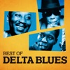 Best of Delta Blues, 2013