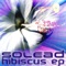 Hibiscus - Solead lyrics