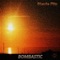 Bombastic (Original) - Stevie Fitz lyrics
