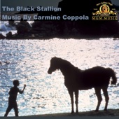 Henry - Carmine Coppola