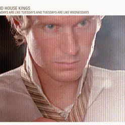 Mondays Are Like Tuesdays And Tuesdays Are Like Wednesdays (Deluxe Edition) - Acid House Kings