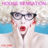 House  Sensation, Vol. 1 (Selected By Paolo Madzone Zampetti)