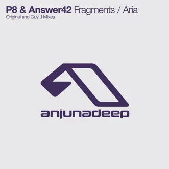 Aria (Original Mix) by P8 & Answer42 song reviws