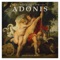 Adonis - DJ Mog & John Gibbons lyrics