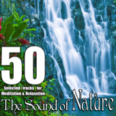 The Sound of Nature (50 Selected Tracks for Relax and Meditation) - Various Artists