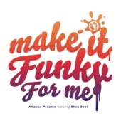 Make It Funky for Me (feat. Shea Soul) [Radio Edit] artwork