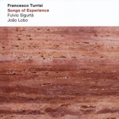 Songs of Experience (feat. Fulvio Sigurta',Joao Lobo) artwork