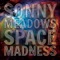 Conversing With a Hyperintelligent Black Hole - Sonny Meadows lyrics