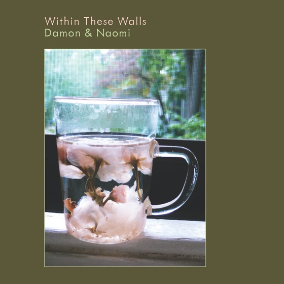 Cover artwork for The Well
