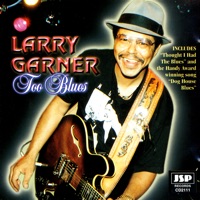 Larry Garner Ablum Cover