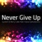 Never Give Up (feat. Kasia Garłukiewicz) - System & Berry Cake lyrics