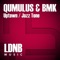 Jazz Tone (Qumulus Remix) - BMK lyrics