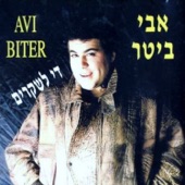 די לשקרים artwork