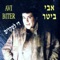 די לשקרים artwork