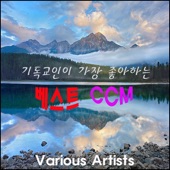 주의 임재 앞에 잠잠해 artwork