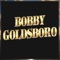Broomstick Cowboy - Bobby Goldsboro lyrics