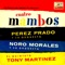 St. Louis Blues Mambo - Pérez Prado and His Orchestra lyrics