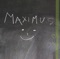 Maximus - Pornstar Tity