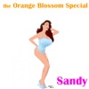 Sandy - Single