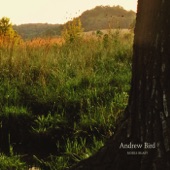 Andrew Bird - Tenuousness