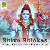 Shiva Shlokas artwork