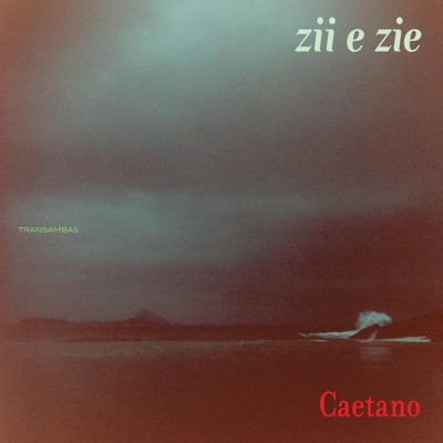 Zii e Zie - Caetano Veloso