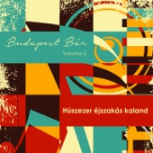 Húszezer Éjszakás Kaland, Vol. 5 artwork