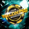 Wildness Riddim: Trinidad and Tobago Carnival Soca 2014 - EP