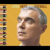 Look Into the Eyeball, 2001