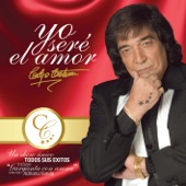 Yo Seré el Amor (Live) artwork