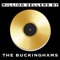 Don't Want To Cry - The Buckinghams lyrics