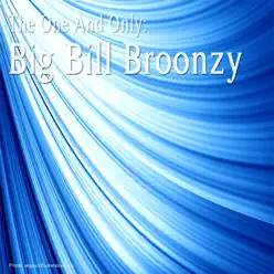 The One and Only: Big Bill Broonzy - Big Bill Broonzy