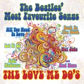 Hey Jude - The Love Me Do's