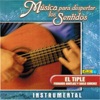 Musica Para Despertar los Sentidos - el Tiple artwork