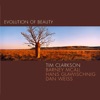 Evolution of Beauty (feat. Barney Mcall, Dan Weiss & Hans Glawischnig)