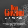 Mozart : Don Giovanni artwork