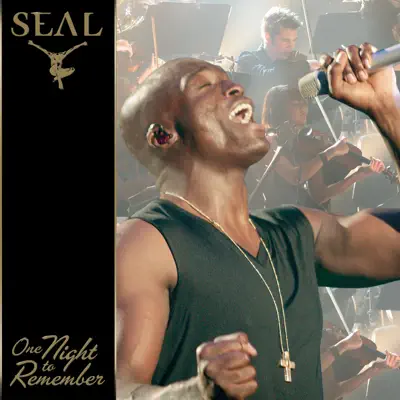 One Night to Remember (Live) - Seal