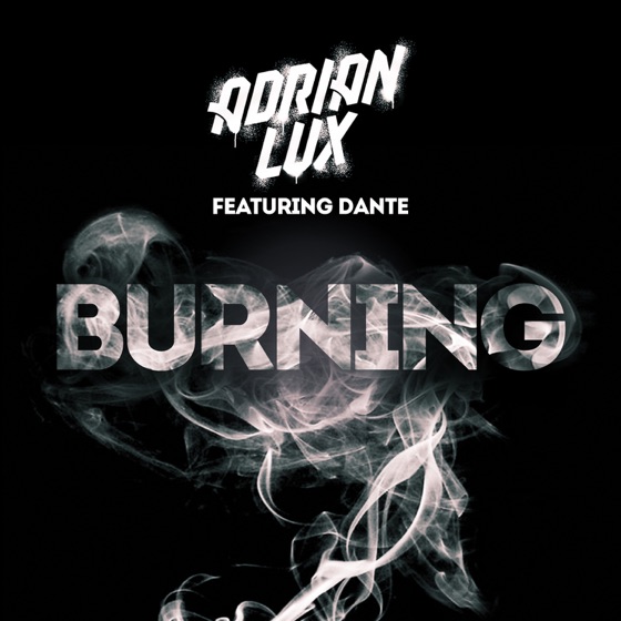Cover artwork for Burning
